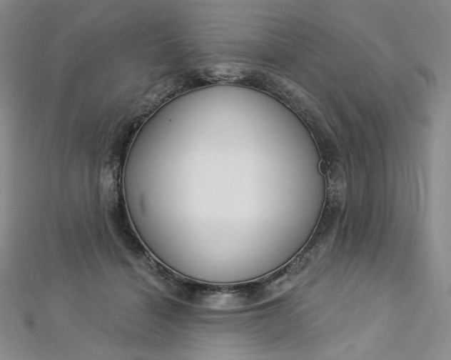 X0000112760460200909031551