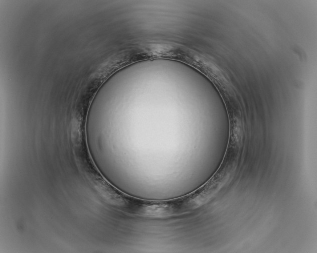 X0000112760461200909031551