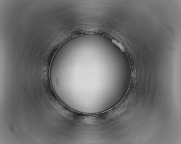 X0000112760462200909031551