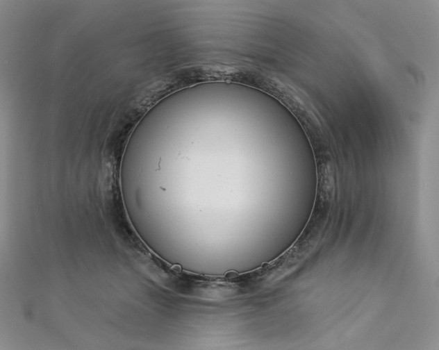 X0000112760463200909031551