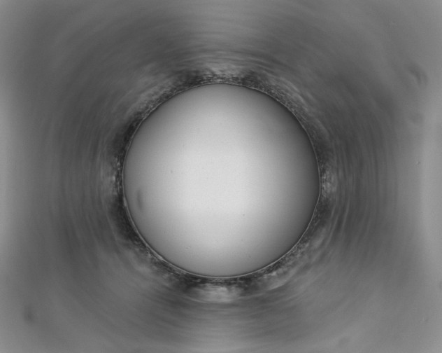 X0000112760464200909031551