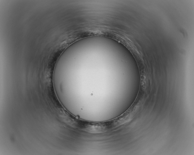 X0000112760466200909031551