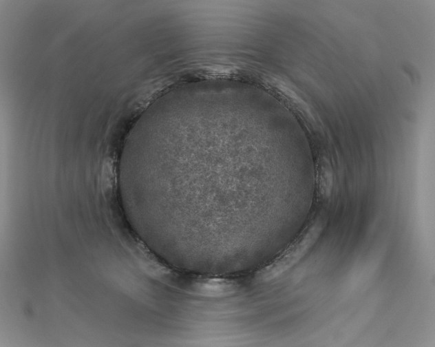 X0000112760467200909031551
