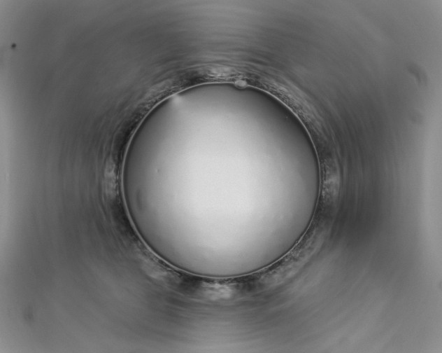 X0000112760469200909031551