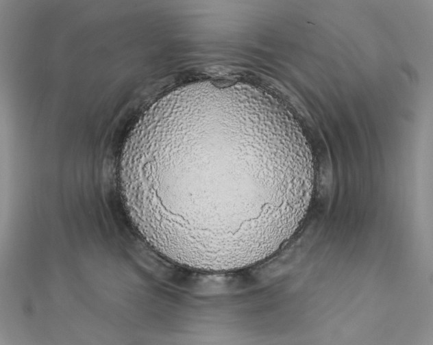 X0000112760473200909031551