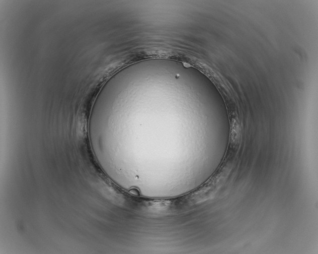 X0000112760474200909031551