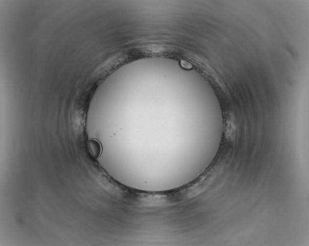 X0000112760476200909031551