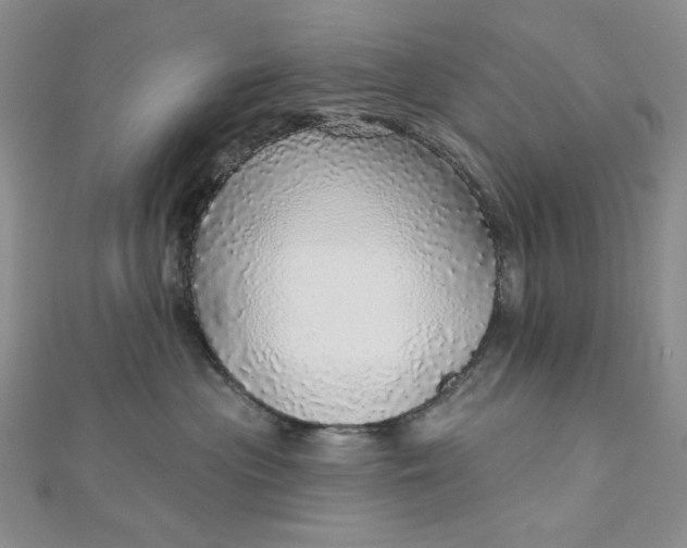 X0000112760477200909031551