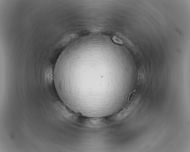 X0000112760479200909031551