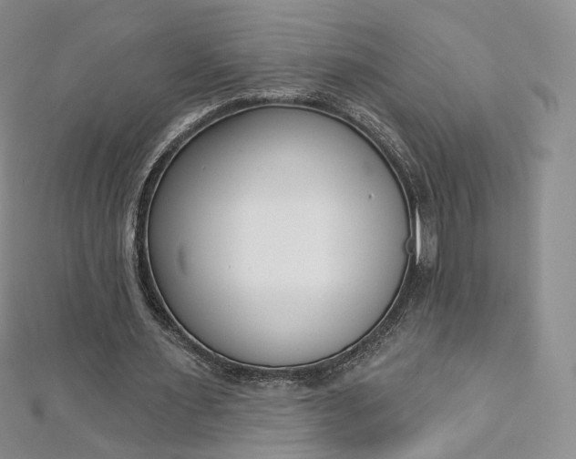 X0000112760483200909031550