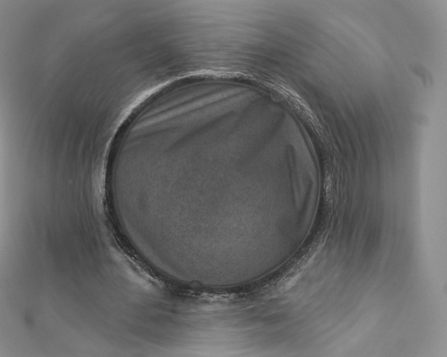 X0000112760484200909031550