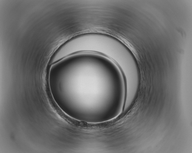 X0000112760485200909031550