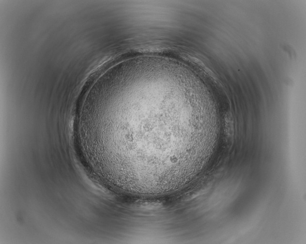 X0000112760491200909031550