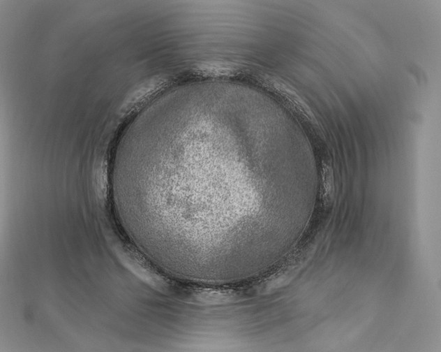 X0000112760494200909031550