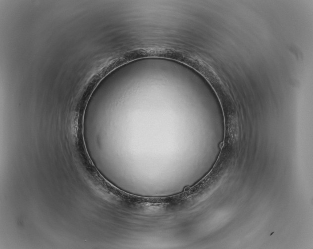 X0000112760495200909031550