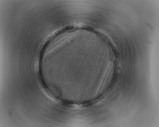 X0000112760496200909031550