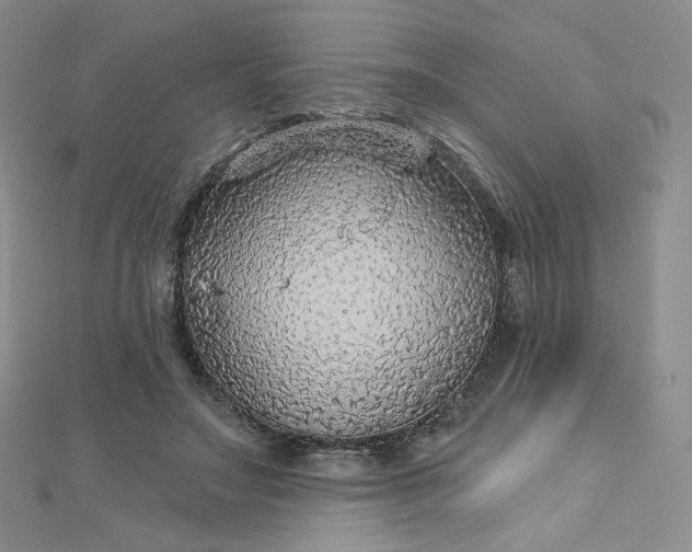 X0000112760499200909031550