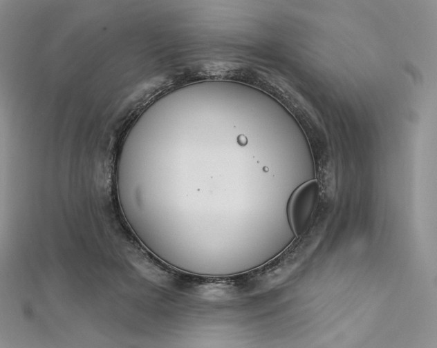 X0000112760505200909031550
