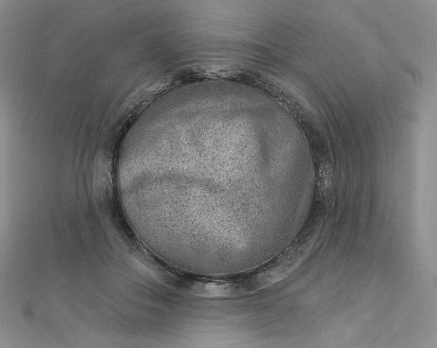X0000112760506200909031550