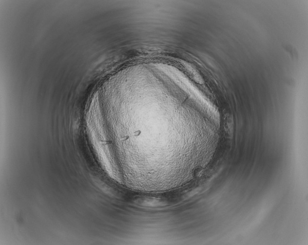 X0000112760507200909031550