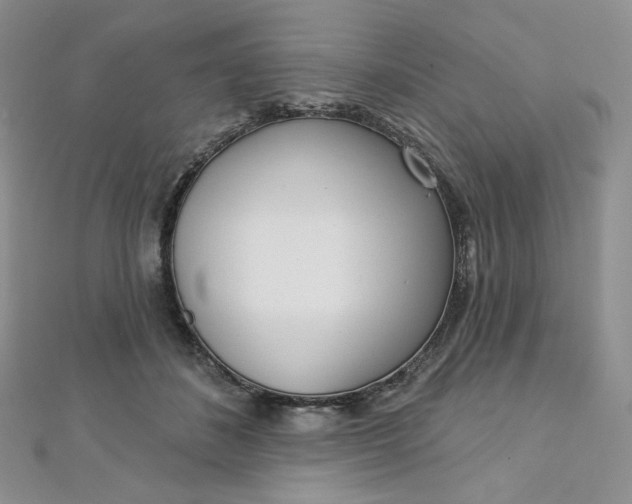 X0000112760508200909031550