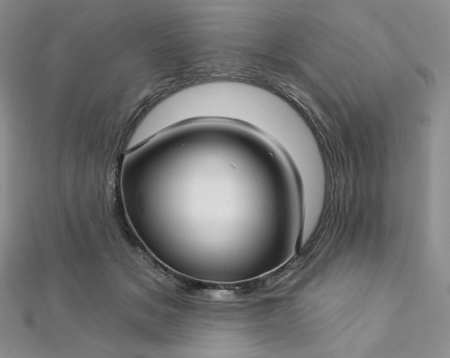 X0000112760509200909031550