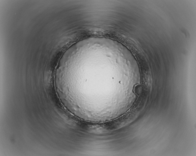 X0000112760511200909031550