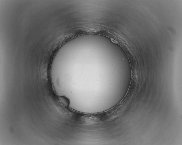 X0000112760512200909031550