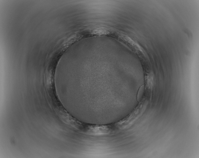 X0000112760517200909031550