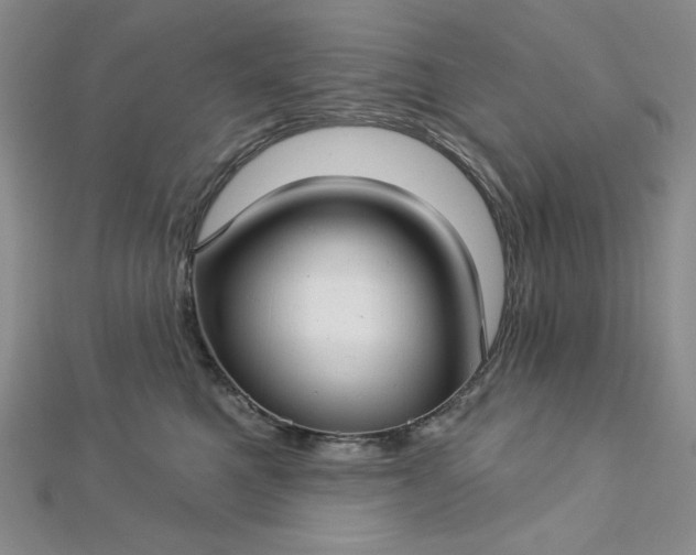 X0000112760521200909031550