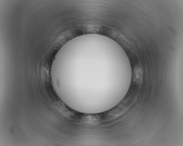 X0000112760522200909031550