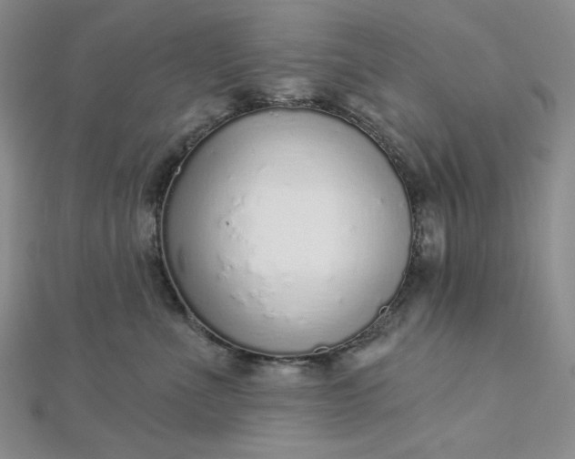 X0000112760523200909031550