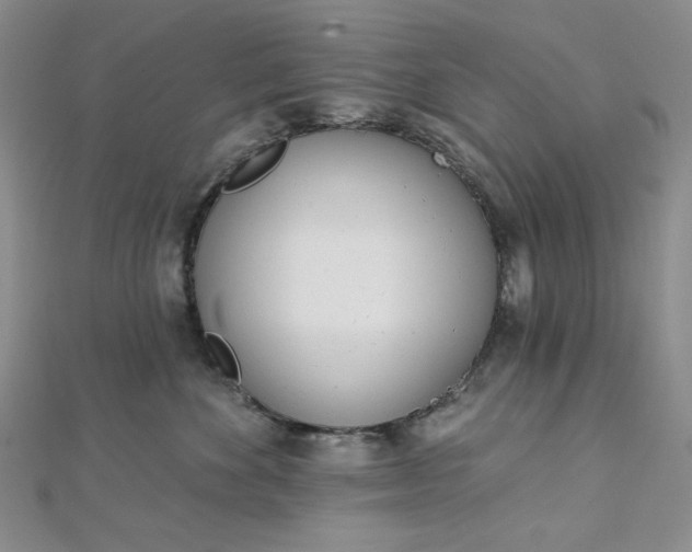 X0000112760524200909031550