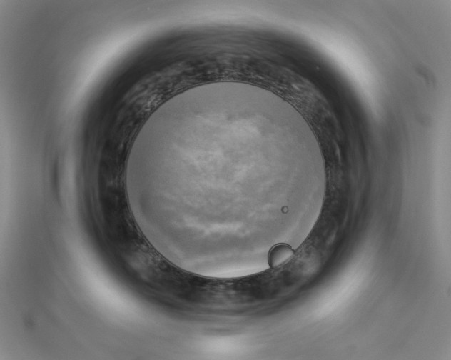 X0000112760526200909031550