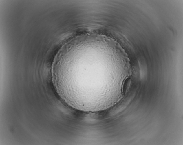 X0000112760527200909031550