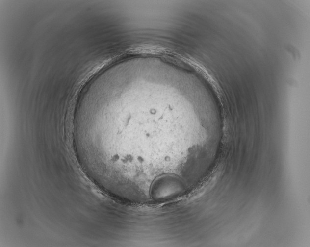 X0000112760529200909031549