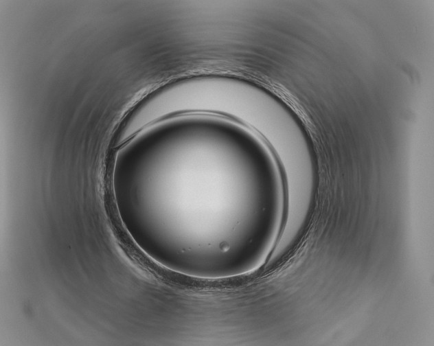 X0000112760530200909031549