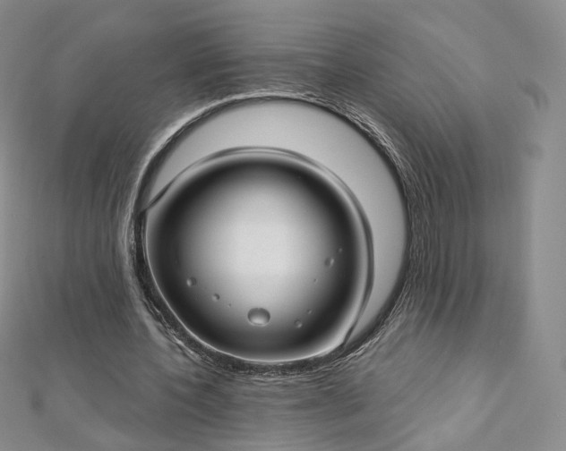 X0000112760532200909031549