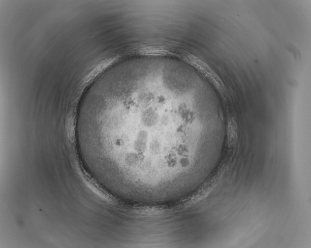 X0000112760533200909031549