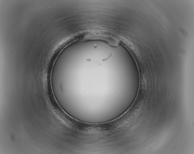 X0000112760535200909031549