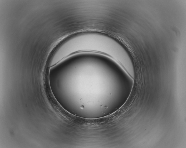 X0000112760536200909031549