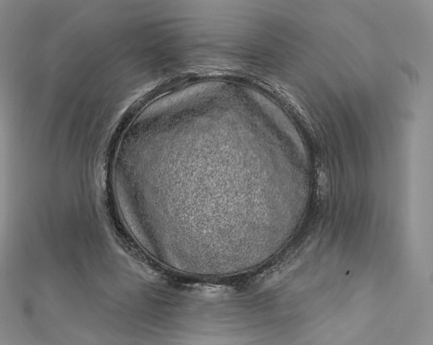 X0000112760539200909031549