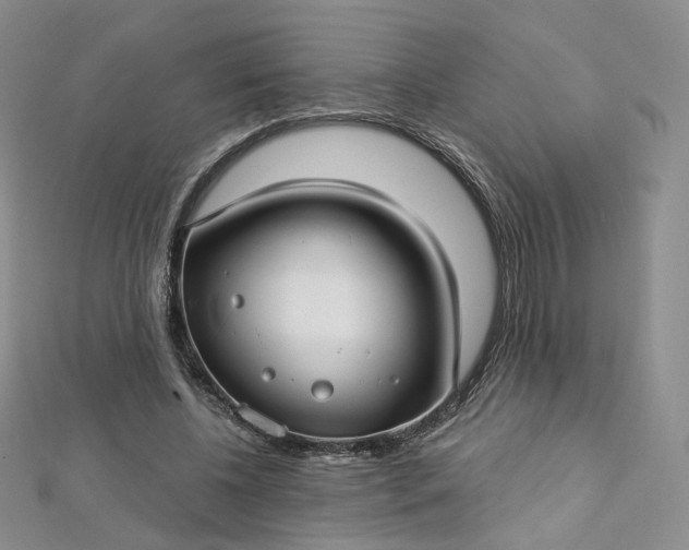 X0000112760540200909031549