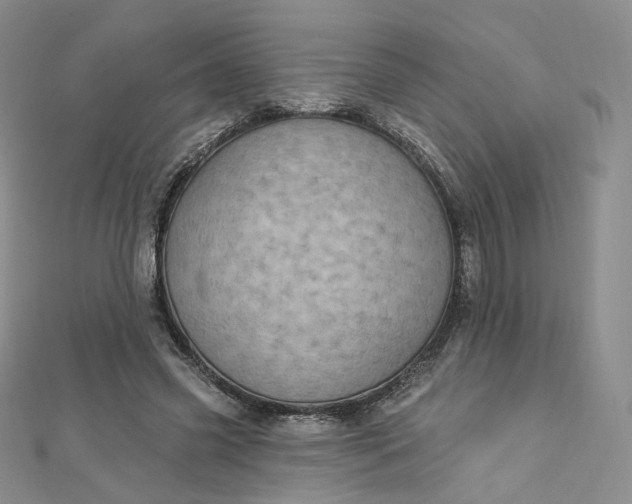 X0000112760541200909031549