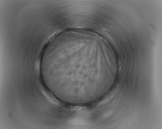 X0000112760542200909031549