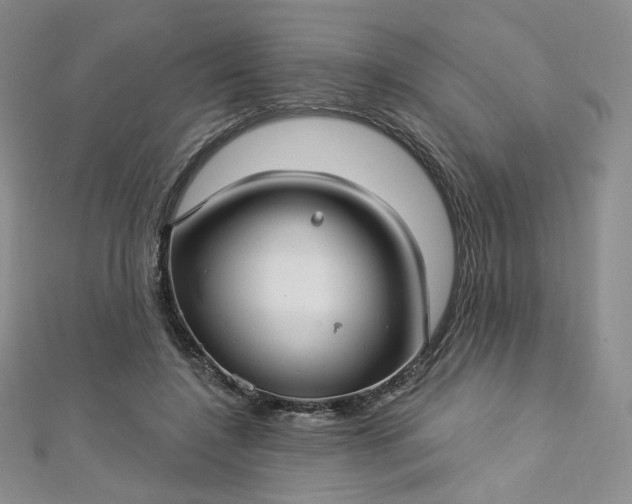 X0000112760548200909031549
