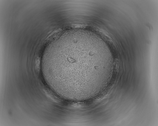 X0000112760550200909031549