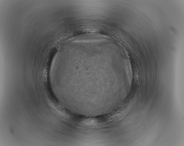 X0000112760551200909031549