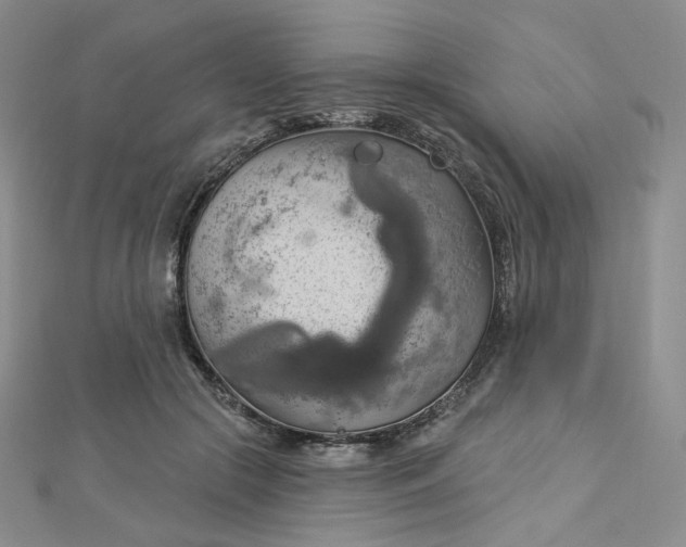 X0000112760553200909031549