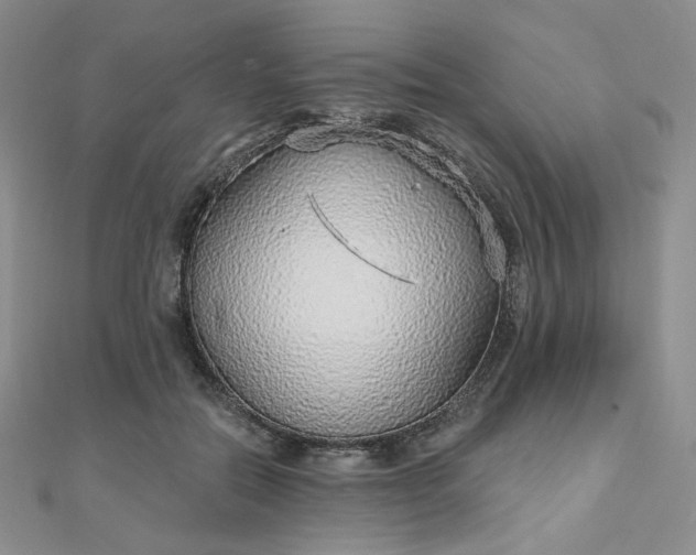 X0000112760554200909031549